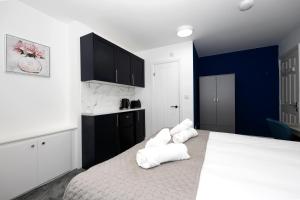 Blossom House Studios Near ARU & City Centre