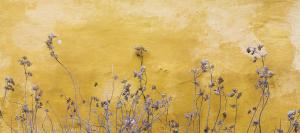 FELIP - Spacious and quiet apartments & one with Terrace