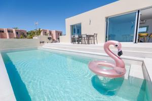 Kaiman 34 by Infinity Summer