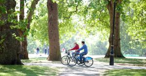 The Tranquil Den - Regents Park - by Frankie Says