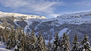 Résidence Les Pleiades - Appartement confortable · Centre station · Balcon MAE-7365