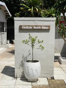 Smooth Sailing Unit -Ebbtide Beach House