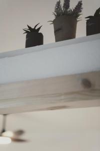 Ξενώνας OLEAVIA