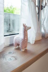 Ferienwohnung auf dem Alpakahof Sternenzelt Alpakas - Natur & Tiere hautnah erleben