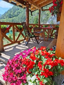 Tarska čarolija Zaovine