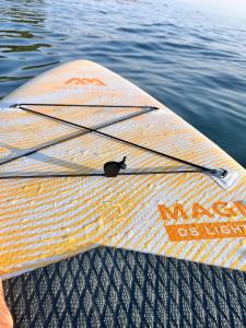 Nature Retreat by the Black Sea