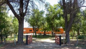 Casa vinedos de Altamira