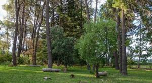 Casa vinedos de Altamira