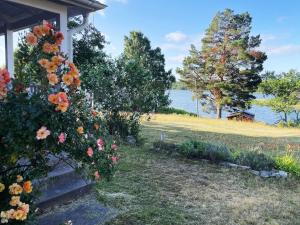 Modern Cottage with Lakeside Location and Idyllic Setting near Loftahammar