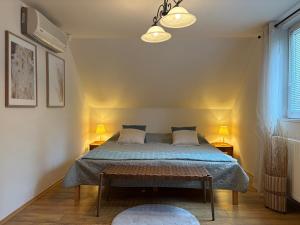 Viola Horgász-és Vendégház