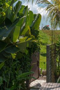 Ricefield view 3BR designer Villa 1 min from beach