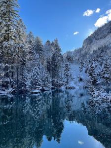 Cute chalet in Kandersteg