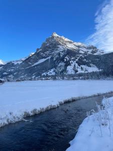 Cute chalet in Kandersteg