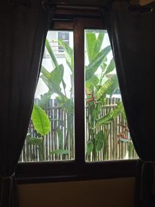 Malinao Blue - Big house for family & groups