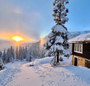Cozy cabin apartment, ski-in ski-out at Kvitfjell