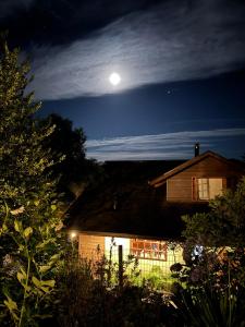 Casa Orilla Lago Villarrica