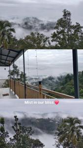 Blissbay