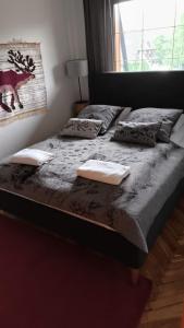 Cozy Apartment in Krakow