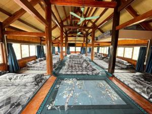 Homstay Mimosa Mộc Châu