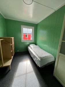 Martini Fishing Camp