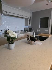 City Centre Apartment Bass Buildings