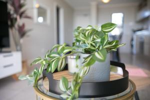 Family Suite-Two Bedroom Waters Edge