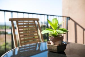 Family Suite-Two Bedroom Waters Edge