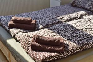 Domillion Penthouse Duplex w Terrace 18 ppl P36T