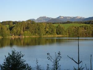 Gschwingerhof