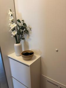 Stern Apartments Fontanella