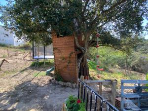 Appartement Piscine 2px Children Algarve Surf