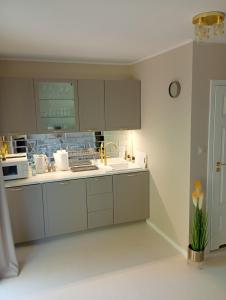 Deluxe Apartament z kuchnią i parkingiem na wyłączność