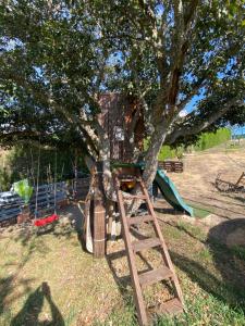 Appartement Piscine 2px Children Algarve Surf