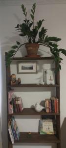 Ca Sanchis, piso en el casco antiguo