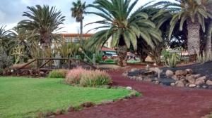 Le Poulpe bleu Fuerteventura chic and relax