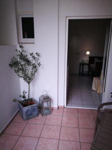 City Appartements Köthen