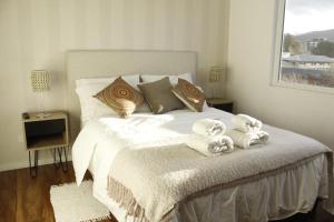 Antu suite