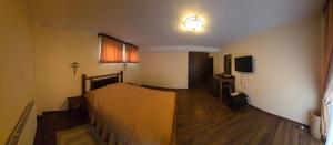 Frații Iosif & Damian