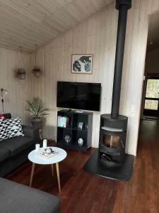 TV1624-Jerup-Tyttebaervej-32