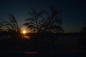 14 - Fulufjellets nasjonalparker - snø - alpint - langrenn - snøscooter