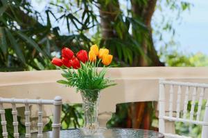 El Perezoso, Studio Apartment w Views and Central Location