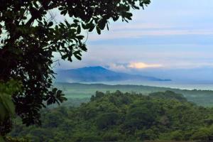 Casa Sophia A Cozy, Treetop, Sea View Gem