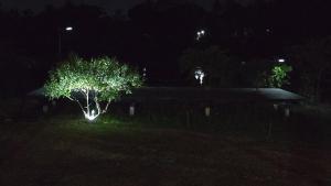 MDL, Centre for Seafarers International