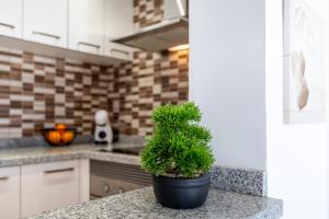 Oasis San Eugenio by Altamar Homes