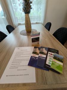 Pau de Stress - Idéal Famille - Centre de Pau