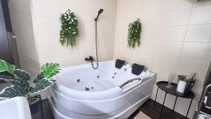 Apartament Cozy cu Jacuzzi Spa