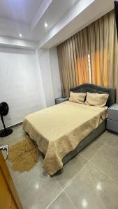 Apartmet luxury monaco