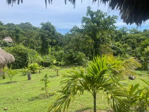 Zirumake Hostel Dentro del Parque Tayrona