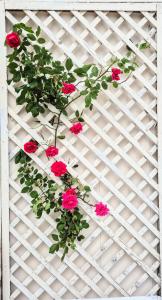 Bed in mixed dorm ideal for bikes and walkers on the camino