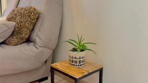 Le Cosy - Place du 30 octobre - 4 personnes